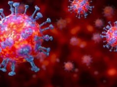 Covid-19 : Les pays qui échappent encore à la pandémie du virus mortel