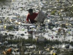 2020, année la plus meurtrière pour les défenseurs de l’environnement