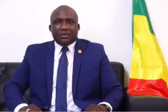 Assimi Goïta et Ainea Camara : Deux présidents à la tête du Mali ?