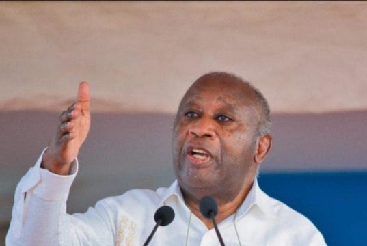 Contestation de la présidentielle du 25 octobre: Comment le PPA-CI insulte l’intelligence de millions d’Ivoiriens