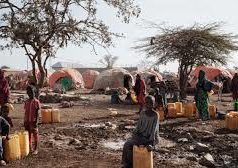 Au moins 1.500 Somaliens tués ou blessés par des engins explosifs en 2023, selon l’ONU