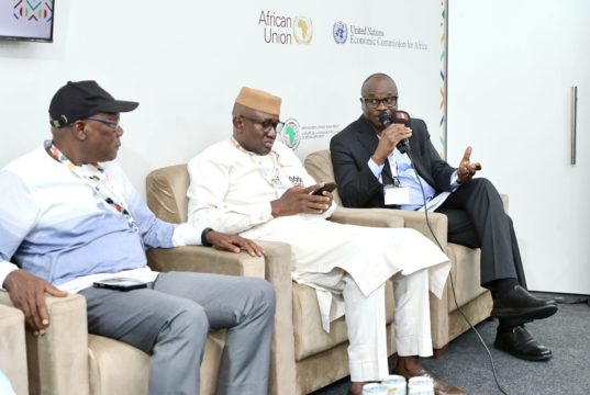 La Grande muraille verte veut innover dans la mobilisation des ressources climatiques