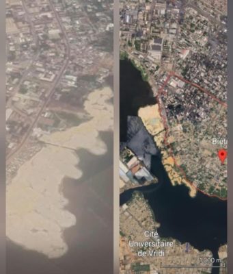 Crime environnemental: Un citoyen écrit au Président de la République de Côte d’Ivoire