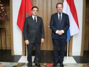 Sahara: Les Pays-Bas soutiennent l’autonomie sous souveraineté marocaine