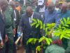 Journée nationale de l’arbre 2026: 1400 arbres plantés à l’Université Alassane Ouattara