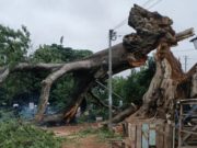 Fromager de Nimbo: Bouaké perd un repère spirituel historique