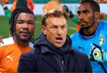 Éléphants : Hervé Renard renforce son staff avec Serey Dié et Copa Barry