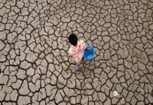 «Super El Niño» : Jusqu’à 451.000 décès liés aux fortes chaleurs redoutés dans les six prochains mois