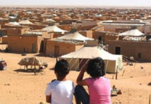 L’affaire «Infravest» : L’arnaque pyramidale de masse qui dépouille les camps de Tindouf