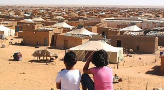 L’affaire «Infravest» : L’arnaque pyramidale de masse qui dépouille les camps de Tindouf